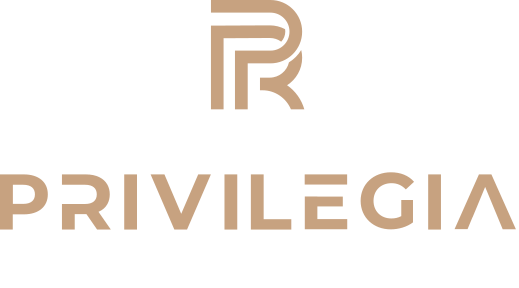 логотип компании партнера